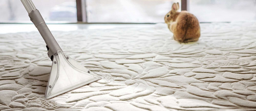 Что такое влажная чистка ковров?