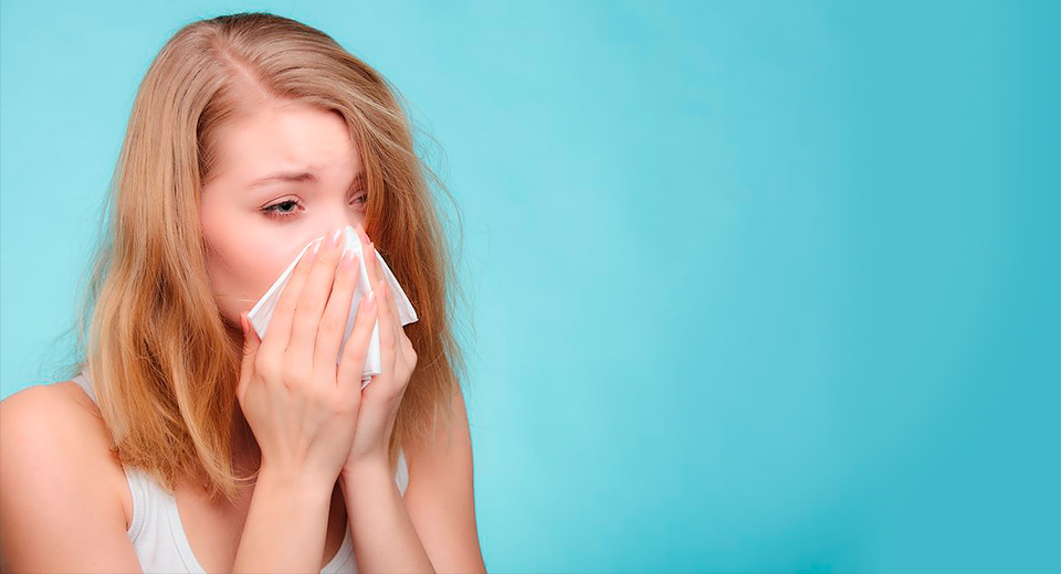 аллергия на пыль
